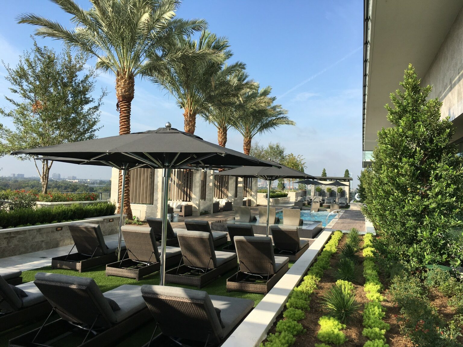 Hotel pool area landscaping